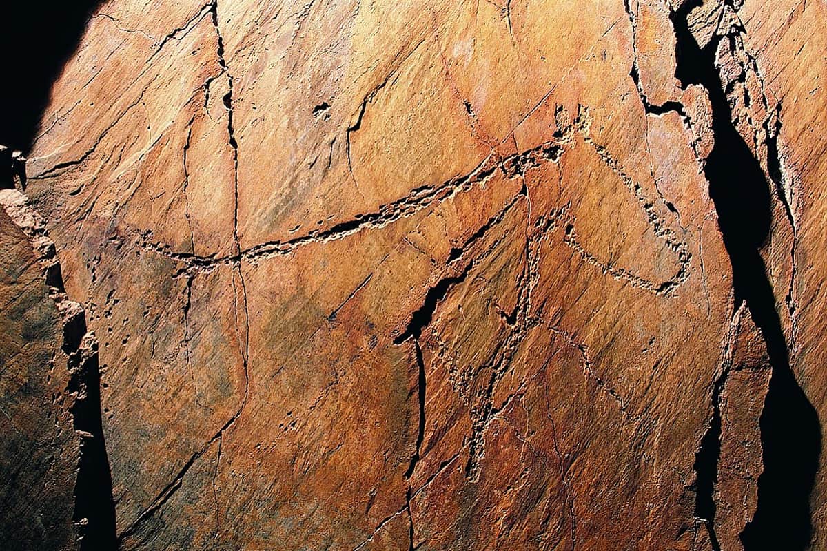 Gravura rupestre do Vale do Côa: figura de animal estilizada incisa por pontos e linhas numa placa de xisto