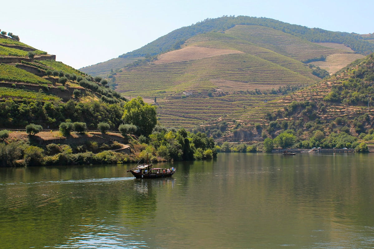 Barco tradicional no rio Douro com socalcos de vinhas e colinas ao fundo